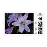 Nature's Best Stamp