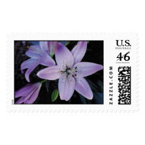 Nature's Best Stamp