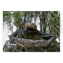 Natures Birdbath cards
