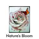 Nature's Bloom T-Shirt1 shirt
