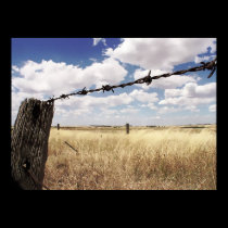 Nature's Boundaries Poster posters