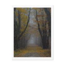 Nature's Cathedral Postcard by threesalamanders Nature's Cathedral Postcard