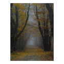 Nature's Cathedral Poster posters by threesalamanders Nature's Cathedral Poster posters