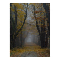 Nature's Cathedral Poster posters