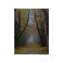 Nature's Cathedral Poster posters by threesalamanders Nature's Cathedral Poster posters