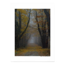 Nature's Cathedral Poster posters