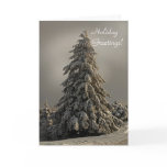 Nature's Christmas Tree - Greeting Card
