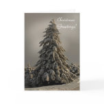 Nature's Christmas Tree - Greeting Card