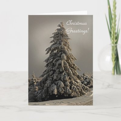 Nature&#39;s Christmas Tree - Greeting Card