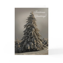Nature's Christmas Tree - Greeting Card by LoisBryan Nature's Christmas Tree - Greeting Card