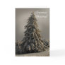 Nature's Christmas Tr... Nature's Christmas Tr...