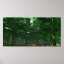 Nature's Clarity - Extreme posters