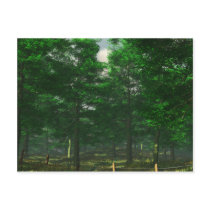 Nature's Clarity Postcard by 3dartwork Nature's Clarity Postcard