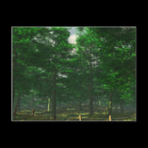 Nature's Clarity Postcard