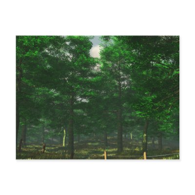 Nature's Clarity Postcard by 3dartwork