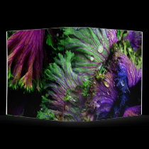 nature's color binder binders