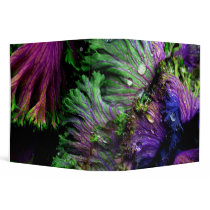 nature's color binder