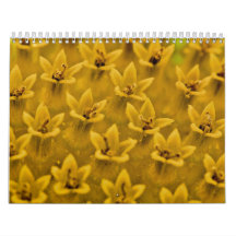 Natures Color Wall Calendars