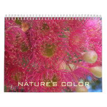 NATURE'S COLOR calendars