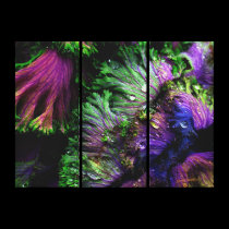 Natures Color canvas prints