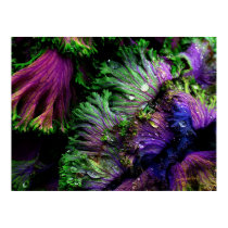 Nature's Color posters by bhbphotos Nature's Color posters