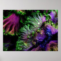 Nature's Color Posters