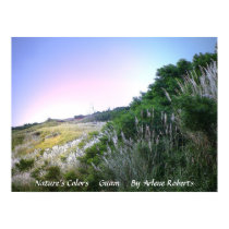 Nature's Colors, Guam posters by PhotoimageryGuam Nature's Colors, Guam posters