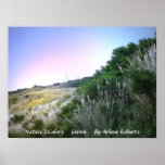 Nature's Colors, Guam Posters Nature's Colors, Guam Posters