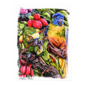 Natures Colors posters