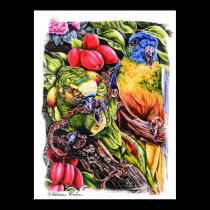 Natures Colors posters