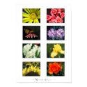 Natures Colors posters