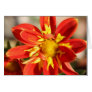 Nature's creativity greeting cards