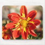Nature's Creativity Mousepads