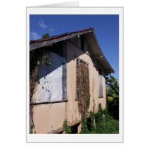 nature's decor cards