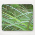 Nature's Episode/ mousepads