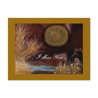 Natures Eye postcard