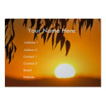Nature's Frame Business Cards