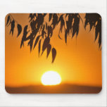 Nature's Frame Mousepads