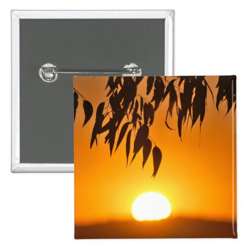 Nature's Frame Pins