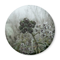 Natures Frost Magnet magnets