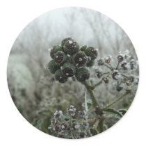 Natures Frost Stickers stickers