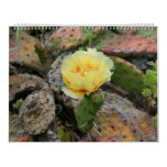 Natures Gift Series 1 Calendars
