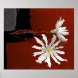 NATURES GIFTS PRINT