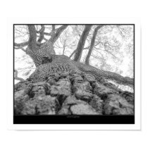 Nature's highway posters by Farkervillecom Nature's highway posters