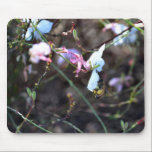 Natures Honey mousepads