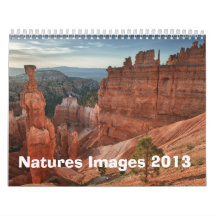 Natures Images 2013 calendar