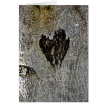 Nature's Love Cards