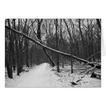 Nature's Overpass Greeting Card