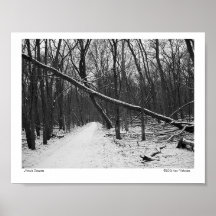 Nature's Overpass Print