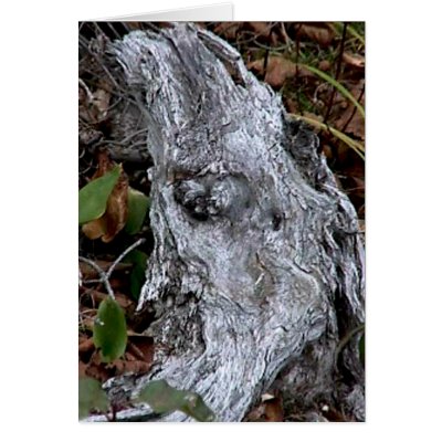 Natures Painting Greeting Card by carrollgraphix